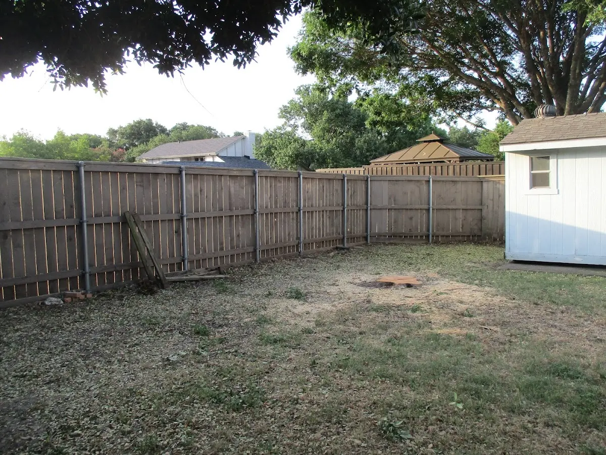 Cleared yard after professional tree removal in Mechanicsville