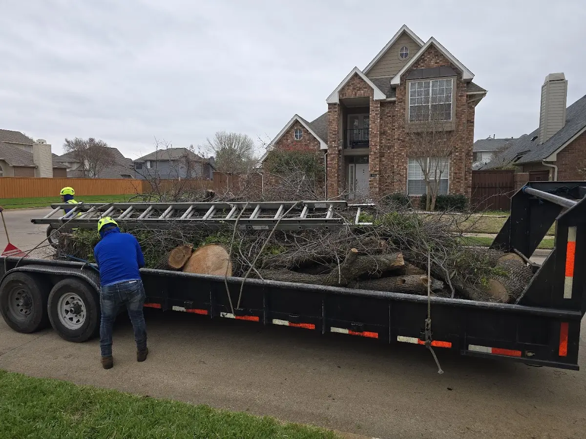 Expert Tree Fertilization with proper safety equipment in Mechanicsville